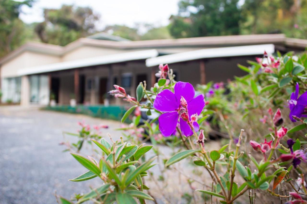Natuera Hotel Monteverde ภายนอก รูปภาพ